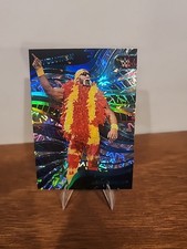 Hulk Hogan Cards and Memorabilia Guide 24