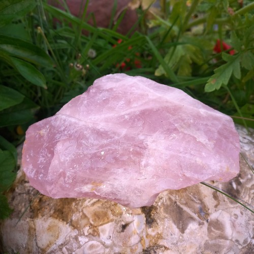Top Farbe Rosenquarz Rosa Quarz Rohstein 1,6Kg Zen Winter Garten Liebe Nr.m69