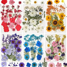 CONVELIFE Dried Flowers for 103 pcs Natural and Leaves, Coloful