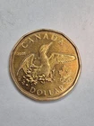 2008 Canada Lucky Loonie, $1 Coin, Olympics Loon Dance, - 4856