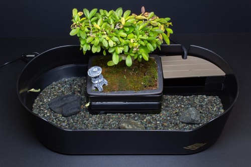 bonsai japan WABISUKE~侘水景~ (bonsai pot set) Create beautiful wabisabi landscapes - Picture 3 of 6