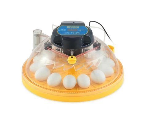 Brinsea 自动鸡肉后院家禽用品