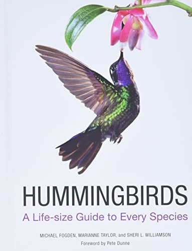 Hummingbirds: A Life-Size Guide to Every Species,Fogden, Michael