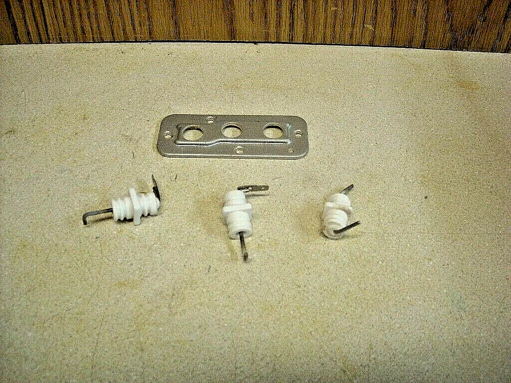 TWFRR1-FLAME ROD ELECTRODE SET 106000059 for RINNAI TANKLESS WATER HEATER  RL941P | eBay