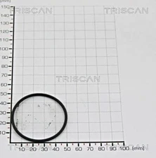 TRISCAN Gasket Seal N90062702