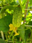 Foto 3 di 6