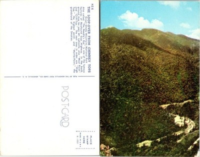 Tennessee(TN) Smoky Mountains National Park Loop over Chimney Tops VTG Postcard