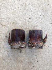 2 Pcs Rooted Dark Purple SugarCane Cutting Sweet Ready To Plant