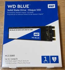 Western Digital WD Blue 3D NAND 1TB M.2 SATA SSD WDS100T2B0B 2280 Unopened