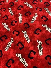 Handmade Placemat Or Table Runner Indians