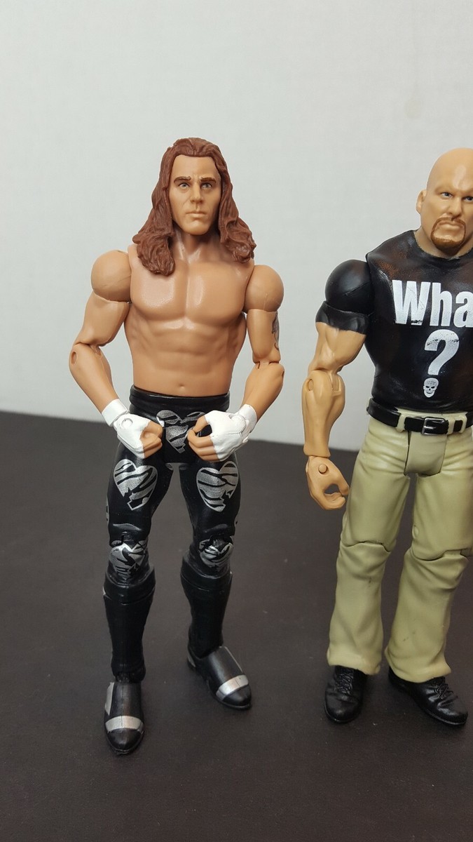 WWE MATTEL BASIC SHAWN MICHAELS HBK STONE COLD WHAT? Triple H