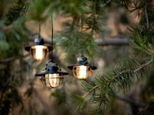 Barebones Living Edison String Lights Bronze Powder-Coated Steel Construction