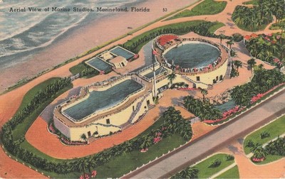 Vintage 1954 Marineland Florida Marine Studios Aerial View Linen Postcard