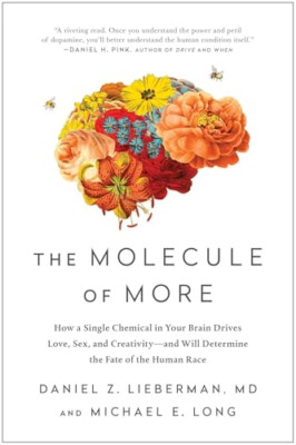 The Molecule of More: How a Single Chemical in Your Bra - Paperback / softback N