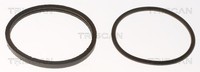 Triscan Thermostat, KüHlmittel 8620 44388 FüR Seat Skoda