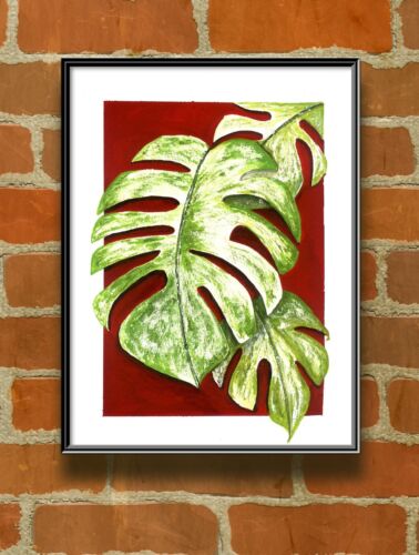 Monstera Thai Constellation Botanical Fine Art, Print for Cheese Plant Lovers - Picture 2 of 4