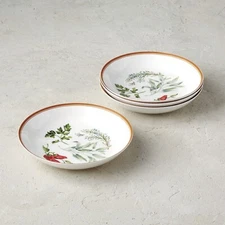 Set of 4 FRONTGATE Exclusive GINEVRA Individual Pasta Bowls New with Tag