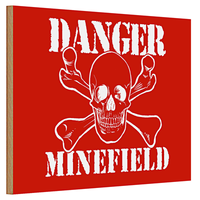 Holzschild Warnschild 30X20Cm Danger Minefield SchäDel