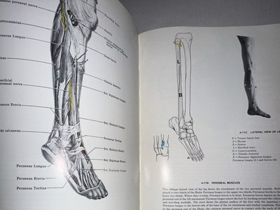 Grants Atlas of Anatomy 8th Edition by James E. Anderson, M.D.