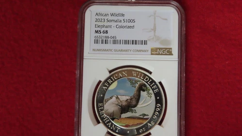2023 Colorize Somalia 100 Shillings African Elephant .999 Silver Coin NGC MS68