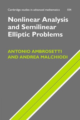 Nichtlineare Analyse und semilineare elliptische Probleme von Antonio Ambrosetti (Englisch