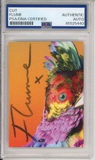 DJ Flume SIGNED AUTOGRAPHED Palaces CD Cover Picture Photo PSA DNA COA Authentic