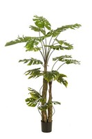 Artplants KüNstlicher Philodendron Korvex, Luftwurzeln, 180Cm