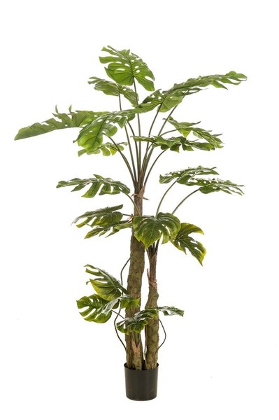 Artplants KüNstlicher Philodendron Korvex, Luftwurzeln, 180Cm-image