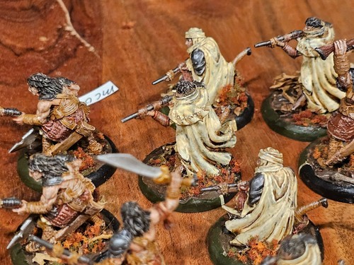 Hordes Warmachine Protectorate of Menoth Idrian Skirmishers Well Painted METAL - Picture 15 of 24