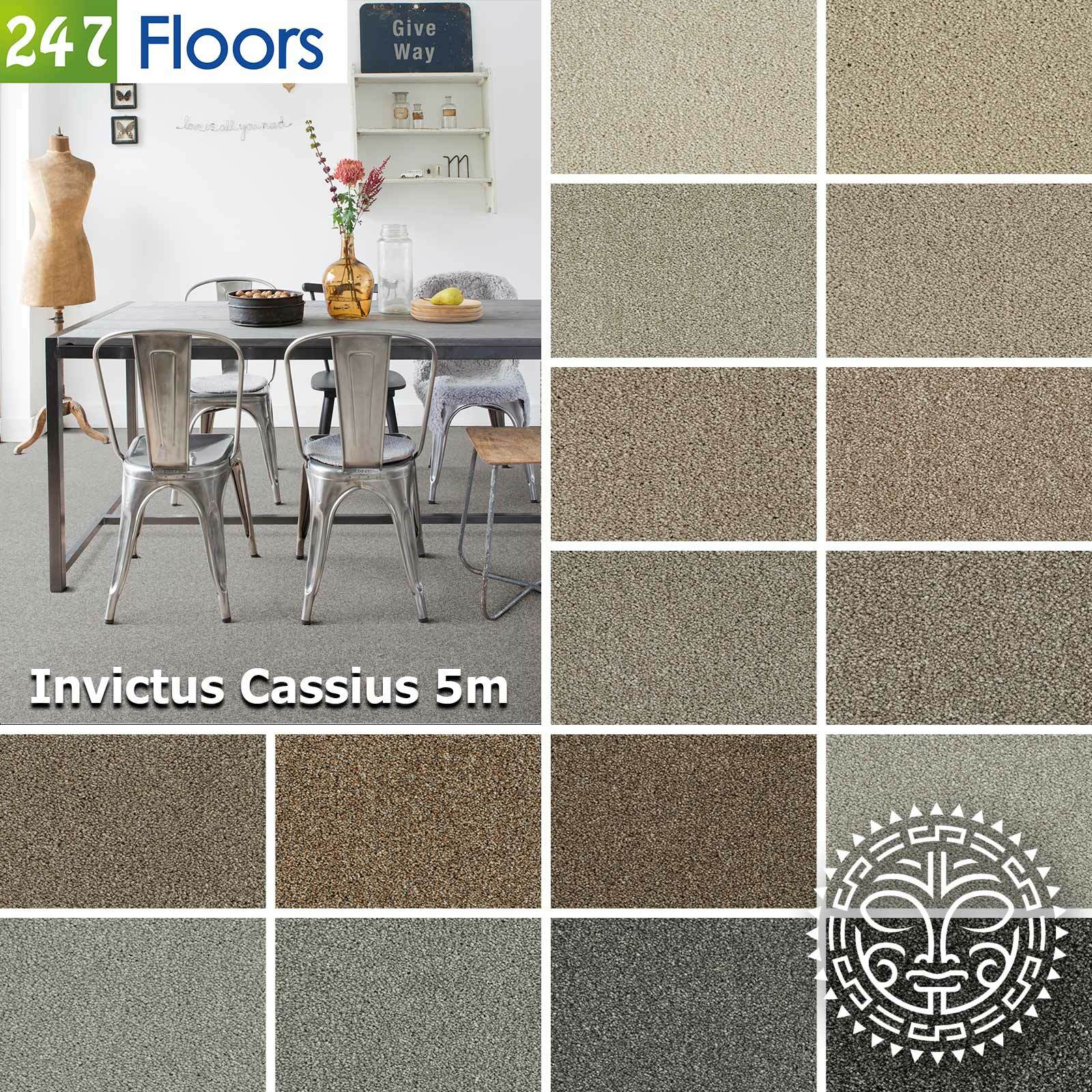 Are Invictus Carpets Any Good