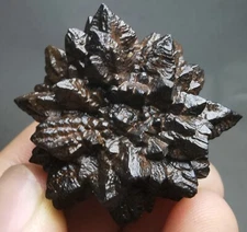 Limonite & Hematite pseudomorph after Marcasite - Prophecy Stone 60g