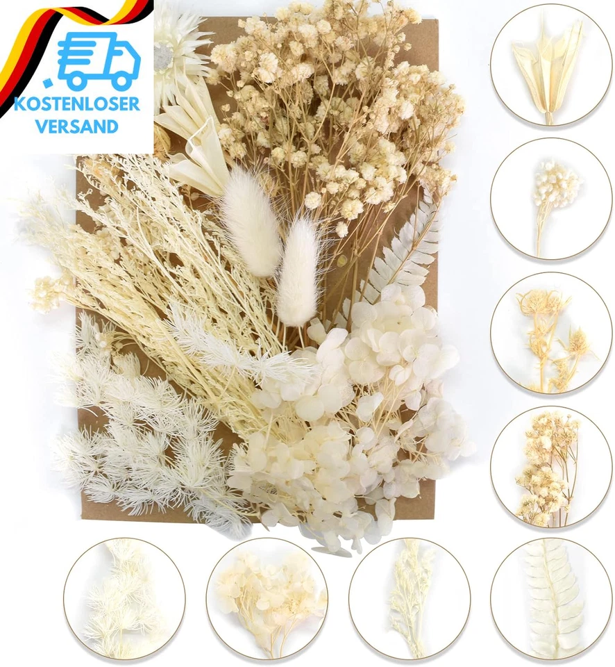 Trockenblumen Zum Basteln Natürliche Getrocknete Blumen Set Weiß Stil DIY Gemisc - Bild 4 von 4