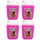 Pet Cattery Kennel Disinfectant Deodoriser Cleaner Pet GUARD 4 x 5L Bubblegum