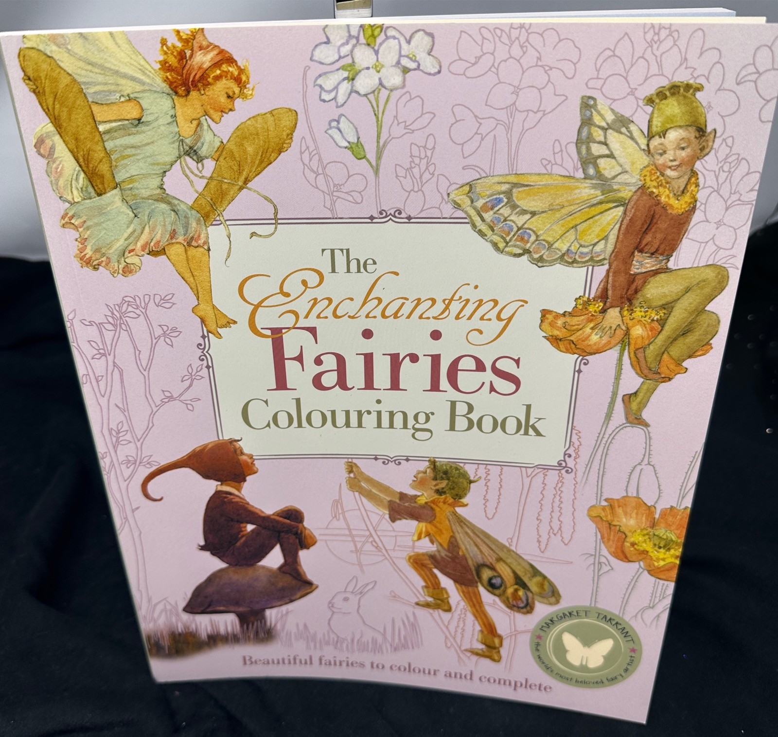 The Enchanting Fairies Colouring Book: Beautiful Fairies to Colour and Complete