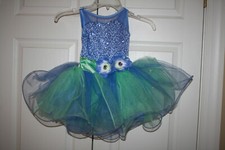 Girl Weissman 10306 Cinderella Blue Green Ballet Tap Jazz Dance Costume Size XSC