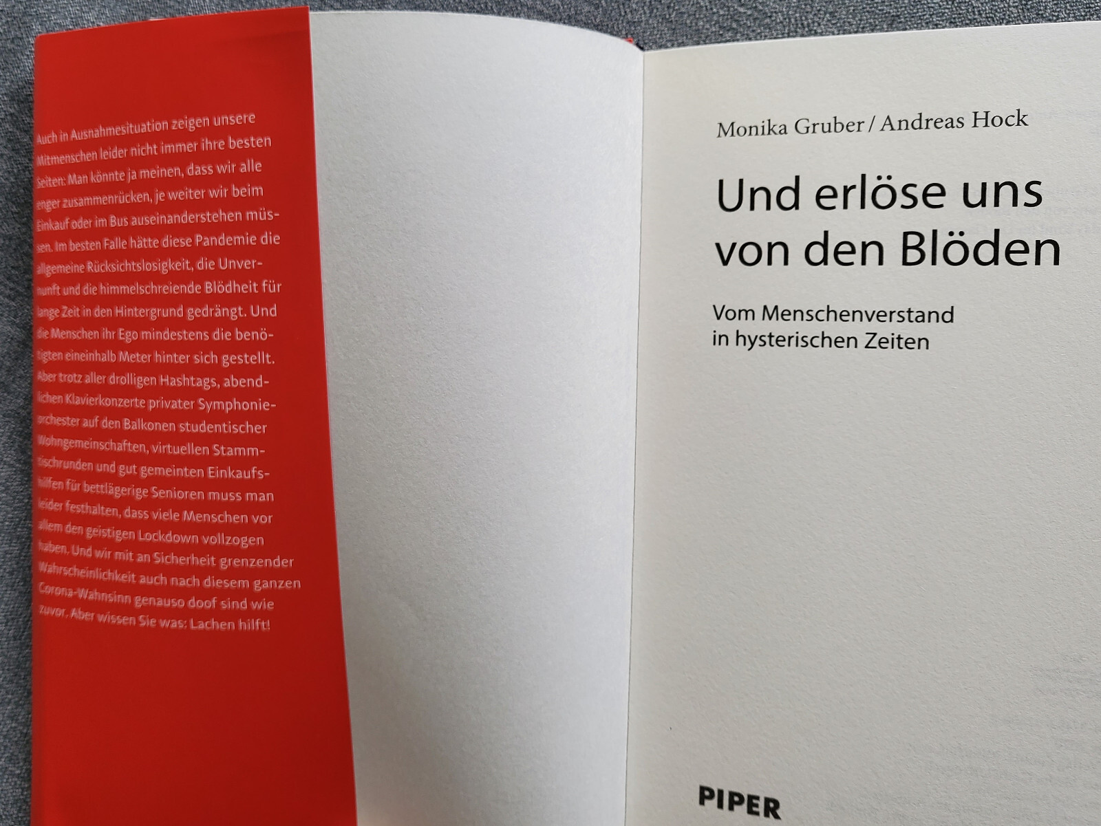 Bild 5 von 5
