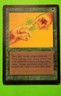 Instill Energy Beta Limited Edition MTG Magic the Gathering Dameon Willich 1993
