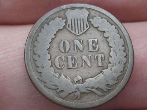 1885 Indian Head Cent Penny- Good Details, Chocolate Brown