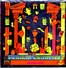 Flamin' Groovies:    (CD, 1999 Renaissance)  Backtracks .. 15 Hits .. Shaking