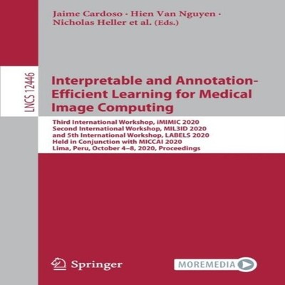 Interpretable and Annotation-Efficient Learning for Medical Image