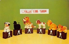 Steiff Dog Show Zoo Favorites Toy Advertising Vintage Postcard AA86073