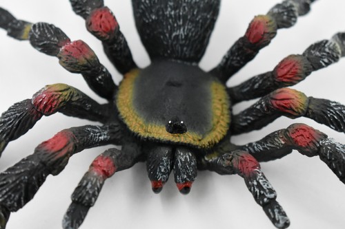 Spider, Red Knee Tarantula, Realistic Toy Figure, Model, 5" CH193 BB116 - 第 7/8 張圖片