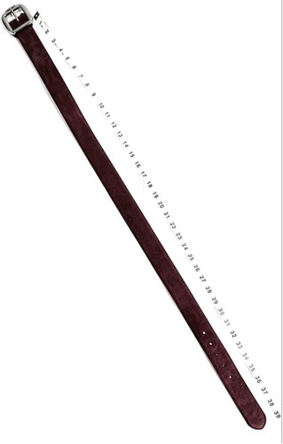 Cintura donna Lauren Ralph Lauren scamosciata M viola bordeaux scamosciata M - Foto 7 di 9