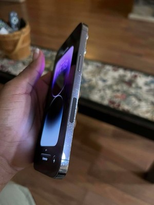 iPhone 14 Pro Max
