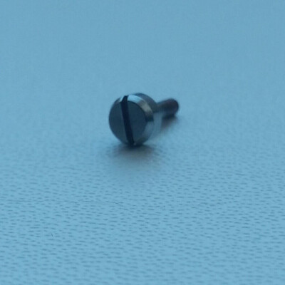 Casio Watch Band Screw PAW-2000 PAW-5000 PRG-200 PRG-250 PRG-260 PRG-280 Male