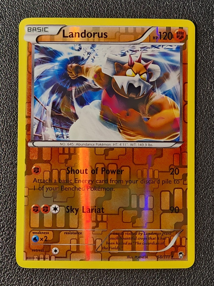 reverse holo Landorus 58/111 Pokemon card XY Furious Fists rare LP