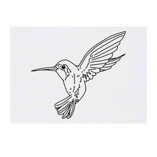 'Hummingbird' Temporary Tattoos / Transfers TO00018080 