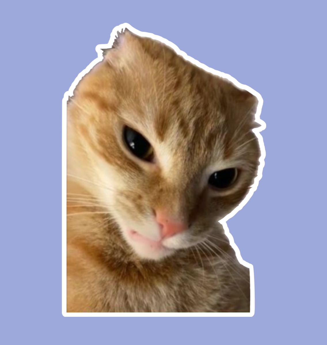 Ratchet Orange Cat Meme Die Cut Sticker Decal