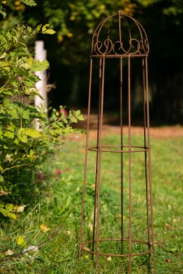 KADAX Rankobelisk Aus Stahl 120cm - Kletterhilfe Für Rosen, Efeu & Clematis