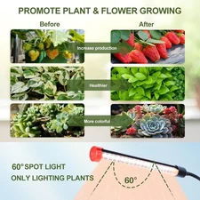Game Changer! 9W Power Home Plug, NOT 5W Adapter, Clip Grow Lights for Indoor...